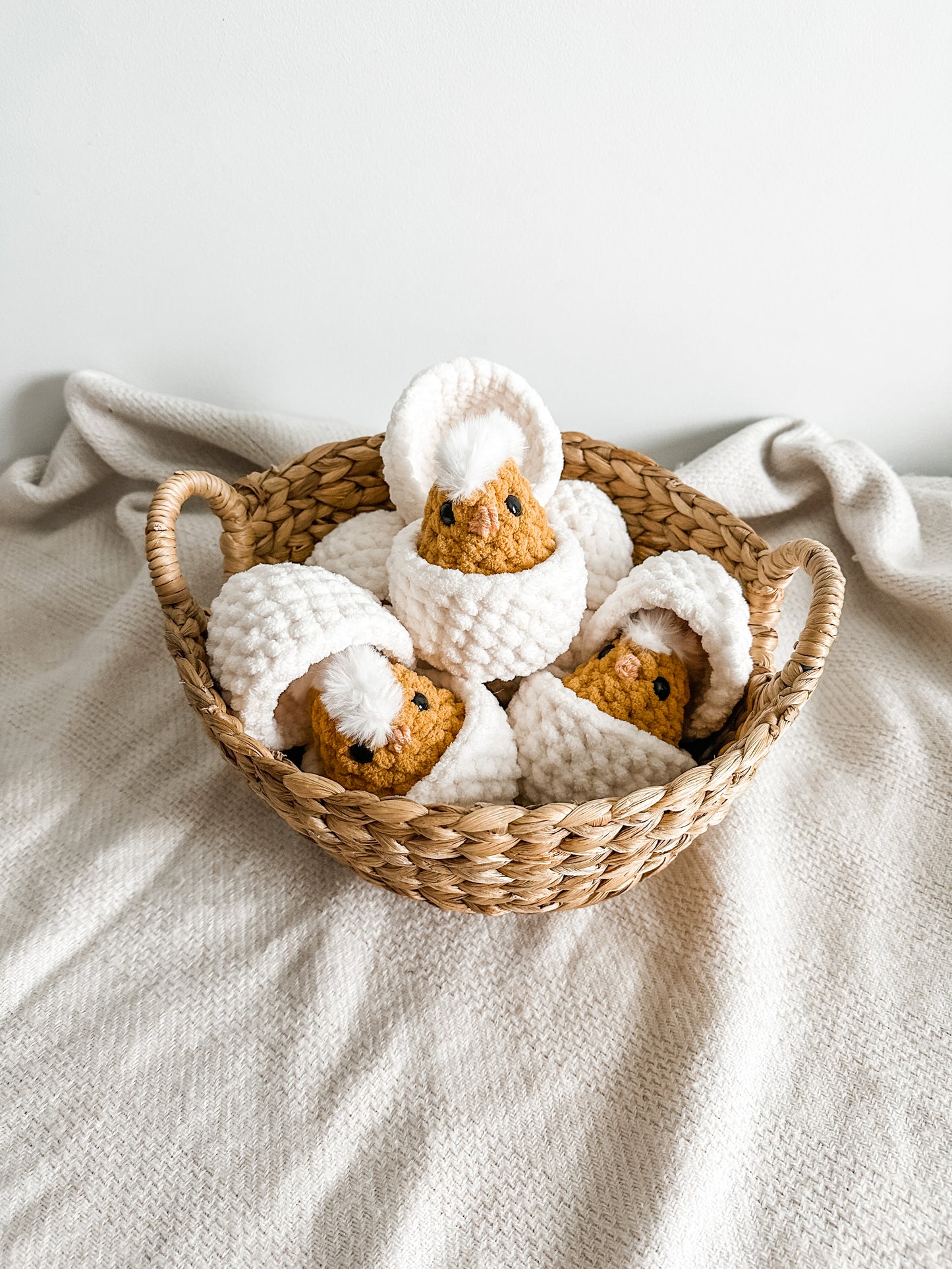 Hatching Chick