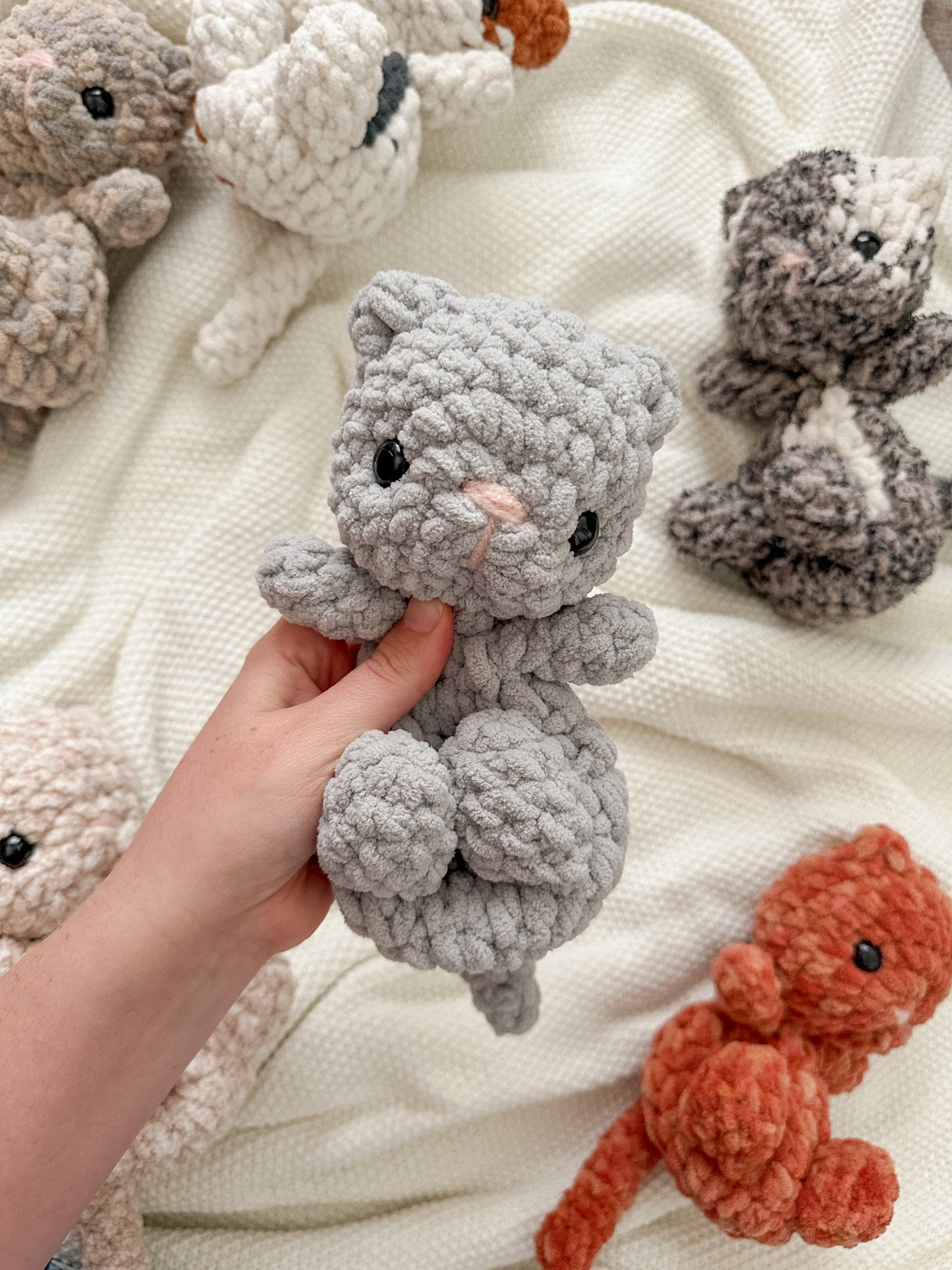 Bitty Kitty